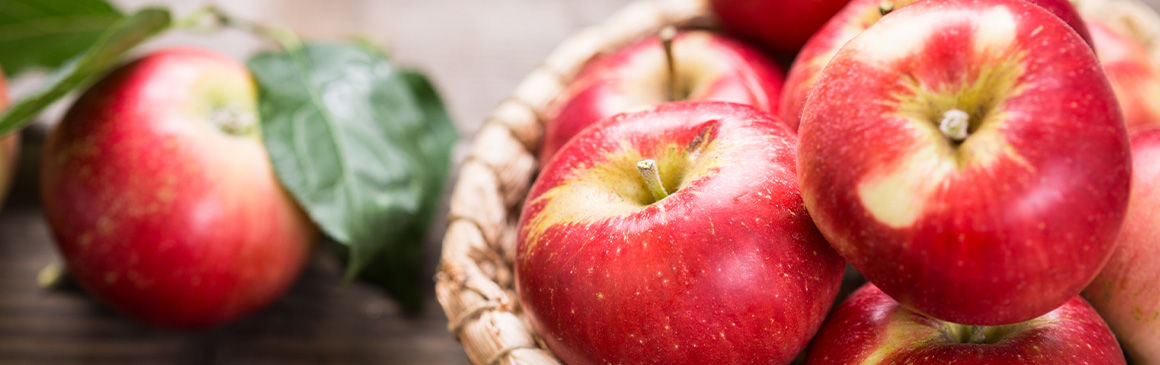 Bite into Fall Without Any Waste