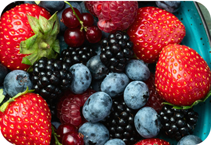 L'art de conserver les petits fruits