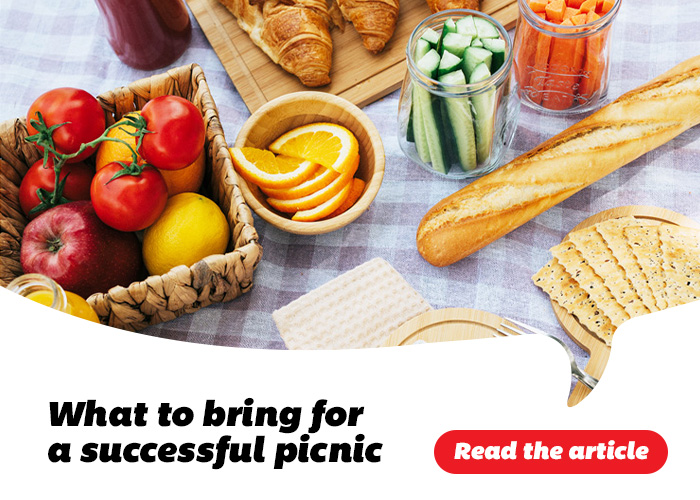 What to bring for a successful picnic - Read the article