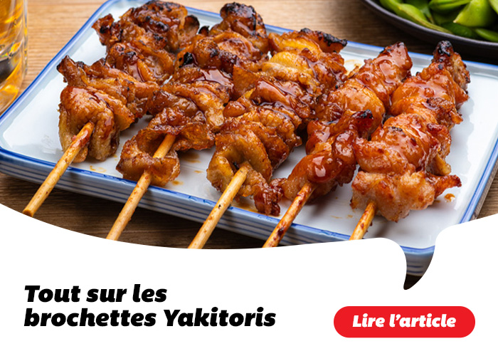 Tout sur les brochettes Yakitoris - Lire l'article