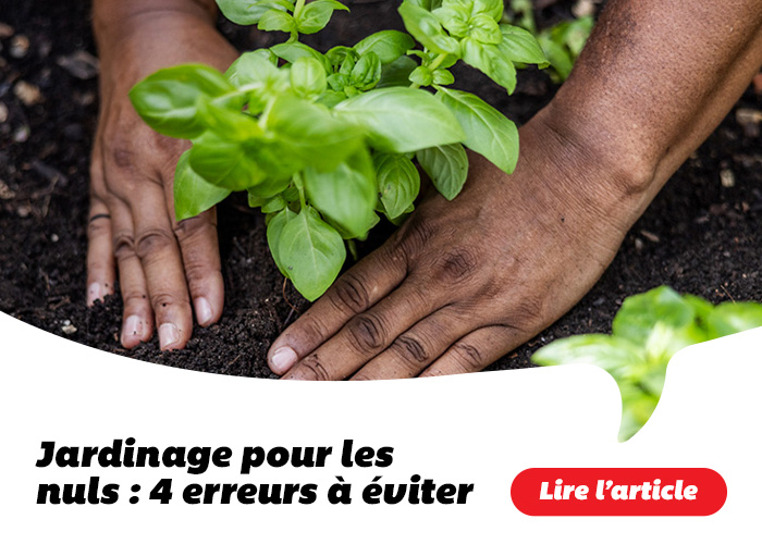 Jardinage pour les nuls: 4 erreurs à éviter - Lire l'article