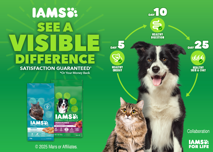 IAMS SEE A VISIBLE DIFFERENCE