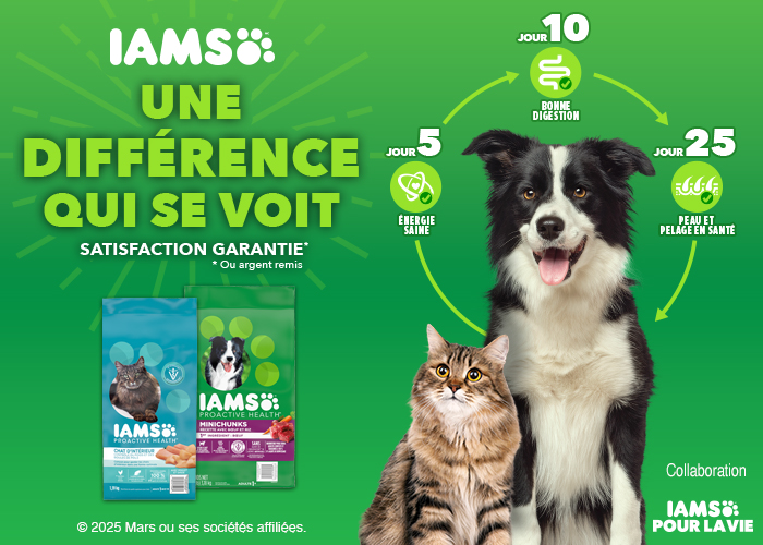 IAMS UNE DIFFÉRENCE QUI SE VOIT